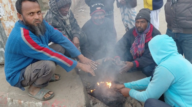 পঞ্চগড়ে ঘন কুয়াশায় দেখা মিলছে না সূর্যের, তীব্র শীতে বিপর্যস্ত জনজীবন