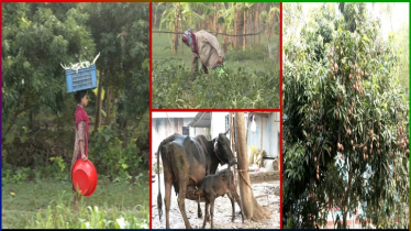 আজও আবহমান বাংলার ঐতিহ্য ও সংস্কৃতি টিকে আছে যে গ্রামে...