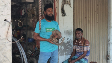 মানুষ-বেজির বন্ধুত্ব, ভালোবেসে নাম রেখেছে ‘লালু’