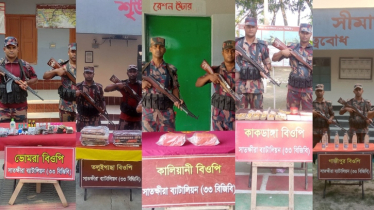 সীমান্ত থেকে ৯ লাখ টাকার শাড়ি, গহনা, ঔষধ ও মাদকদ্রব্য জব্দ 