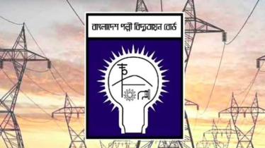 চার মাসে চার হাজার কর্মীর শাস্তি; পল্লী বিদ্যুৎ এসোসিয়েশনের নিন্দা