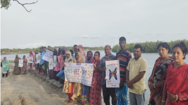 শ্যামনগরে বিশ্ব মৌমাছি দিবস পালন