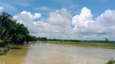 নদীতে লাকড়ি সংগ্রহ করতে গিয়ে নিখোঁজ ১