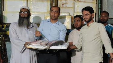 বেনাপোল দিয়ে ভারত গেলো ইলিশের প্রথম চালান