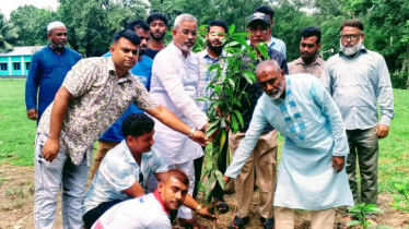 পরিবেশ রক্ষায় টাঙ্গাইলের বিভিন্ন শিক্ষা প্রতিষ্ঠানে বৃক্ষরোপণ