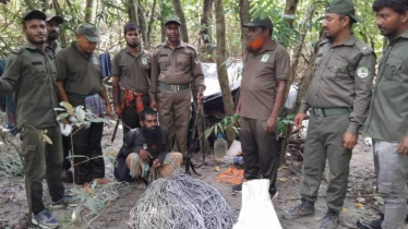 ফাঁদসহ সুন্দরবন থেকে হরিণ শিকারী আটক
