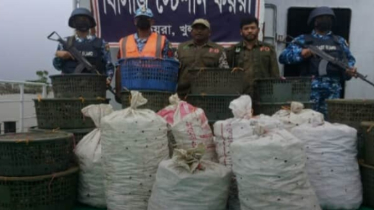 কপোতাক্ষের চরামুখাখাল থেকে ৭৩০ কেজি কাঁকড়াসহ ট্রলার জব্দ