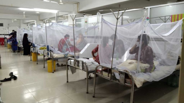 থামছেই না ডেঙ্গুর প্রকোপ, হাসপাতালে ভর্তি আরও ৪৮৮ জন