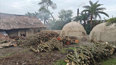 কয়লা তৈরির কারখানায় অভিযান, ৩ লাখ টাকা জরিমানা