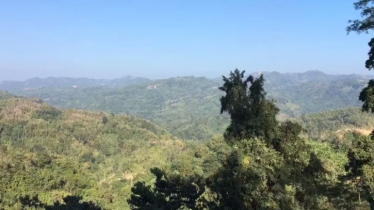 পর্বত দিবসে পাহাড় বাঁচানোর আহ্বান, রাঙ্গামাটিতে বিপন্ন প্রতিবেশ পর্বত দিবসে পাহাড় বাঁচানোর আহ্বান, রাঙ্গামাটিতে বিপন্ন প্রতিবেশ