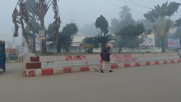 পঞ্চগড়ে টানা ৮ দিন মৃদু শৈত্যপ্রবাহ, রাতে শীত দিনে রোদ