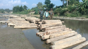 অবৈধভাবে পাচারকালে বিপুল পরিমাণ কাঠ জব্দ