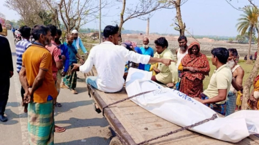 গরুবোঝাই ইঞ্জিনভ্যান খাদে পড়ে চালক নিহত, আহত ২