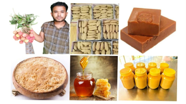 শিক্ষার্থী থেকে সফল উদ্যোক্তা হাবিপ্রবি শিক্ষার্থী জামিউল