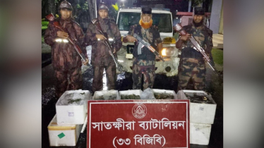 জেলি পুশকৃত ৩০০ কেজি চিংড়ি জব্দ, পাঁচজনকে জরিমানা