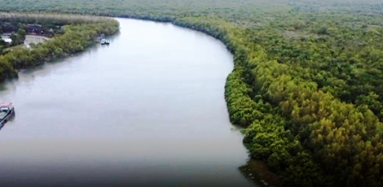 বনায়নে বদলে যাচ্ছে উপকূলের জীবন, নারীদের অবাক করা সাফল্য বনায়নে বদলে যাচ্ছে উপকূলের জীবন, নারীদের অবাক করা সাফল্য