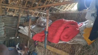 নেত্রকোণায় বসতঘর থেকে কৃষকের মরদেহ উদ্ধার 