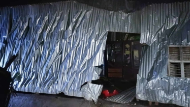 ঝড়ে গাছ ভেঙে নারীর মৃত্যু