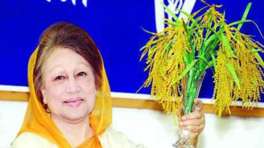 দুপুরে পুরান ঢাকায় ইশরাক হোসেনের নির্বাচনী গণমিছিল