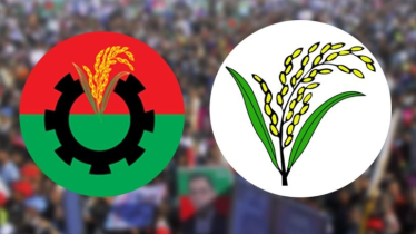 ধানের শীষ প্রতীক থাকছে না যেসব আসনের ব্যালটে