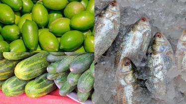 এখনো কমেনি লেবু শসার দাম, ধরাছোঁয়ার বাইরে ইলিশ
