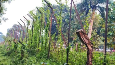 এবার ব্রাহ্মণবাড়িয়া সীমান্তে বিএসএফের গুলিতে আহত ২ 