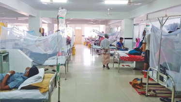ডেঙ্গুতে ২৪ ঘণ্টায় মারা যায়নি কেউ, হাসপাতালে ভর্তি ৩০৮