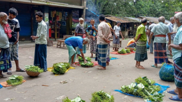 চাঁপাইনবাবগঞ্জে ৮০টি পানের দাম ৫ টাকা, হতাশ চাষীরা