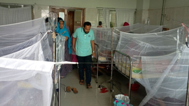 চাঁপাইনবাবগঞ্জে ডেঙ্গু আক্রান্ত হাজার ছাড়িয়ে গেলেও ভর্তি সীমিত