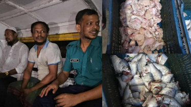 ঢাকা কলেজ ছাত্রাবাসে মরা মুরগির মাংস ও পঁচা মাছ জব্দ