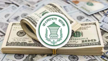 ৩১.০৯ বিলিয়ন ডলারে দাঁড়িয়েছে বৈদেশিক মুদ্রার রিজার্ভ 