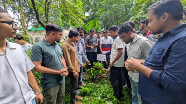 ঢাবিতে জুলাই-আগস্ট গণঅভ্যুত্থানের শহীদদের স্মরণে বৃক্ষরোপণ কর্মসূচি