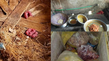 ইঁদুর-মাকড়সায় ভরা রান্নাঘর, বাসি ভাতে শিক্ষার্থীর খাবার