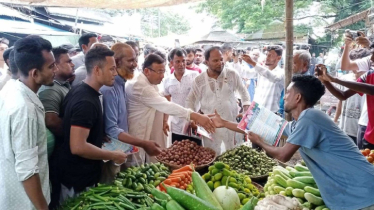 নির্বাচনী মাঠে আমরা ধানের শীষে ঐক্যবদ্ধ: হুমায়ুন কবির