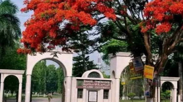 উত্তোলন জটিলতায় ম্লান অর্জনের আনন্দ!