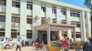 ঝিনাইদহে শ্বশুরের বটির কোপে প্রাণ গেলো পুত্রবধূ  ঝিনাইদহে শ্বশুরের বটির কোপে প্রাণ গেলো পুত্রবধূ
