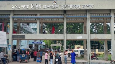 যশোরে বড় ভাইয়ের বিরুদ্ধে ছোট বোনকে খুনের অভিযোগ