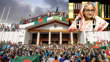 আন্দোলনের আগুনে ঘি ঢালে শেখ হাসিনার ‘রাজাকারের বাচ্চা’ মন্তব্যটি