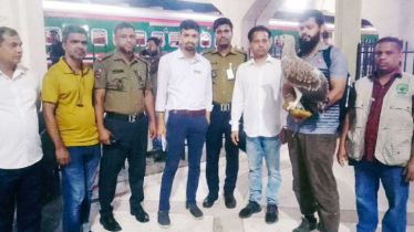 কমলাপুর রেলস্টেশন থেকে একটি ঈগল ও সন্দেহভাজন হরিণের মাংস উদ্বার