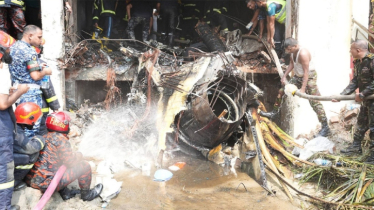 জানা গেলো মাইলস্টোনে বিমান বিধ্বস্তের কারণ 