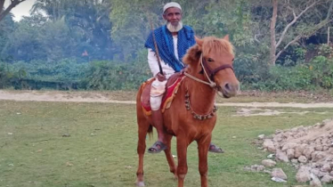 দুর্বৃত্তরা মেরে ফেললো ৩ হাজারের বেশি কবর খোঁড়া মনু মিয়ার ঘোড়াটি 
