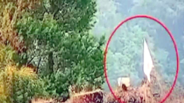 যুদ্ধের ময়দানে ভারতের আত্মসমর্পণ? পাকিস্তানের তথ্যমন্ত্রীর বিস্ফোরক দাবি