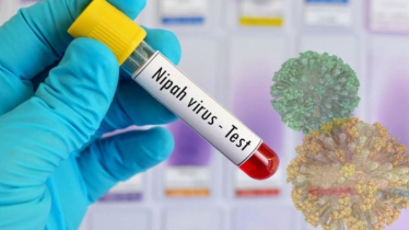 বাংলাদেশে নিপা ভাইরাসে মৃত্যুর খবর নিশ্চিত করলো বিশ্ব স্বাস্থ্য সংস্থা