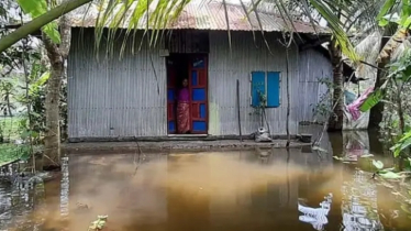 নোয়াখালীতে এখনো পানিবন্দি প্রায় ১৭ হাজার পরিবার