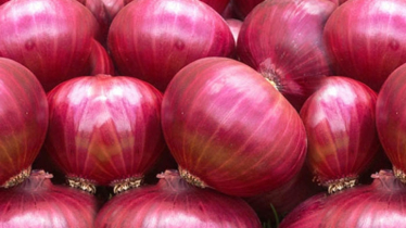 ভারত থেকে দেড় হাজার টন পেঁয়াজ আমদানির অনুমতি দিলো সরকার