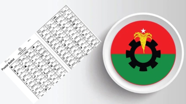 পোস্টাল ব্যালটে ধানের শীষ প্রতীকের অবস্থান নিয়ে বিএনপির উদ্বেগ 