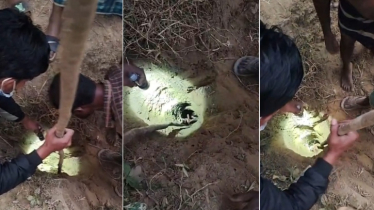 রাউজানে নলকূপের গর্তে পড়া শিশু উদ্ধার, হাসপাতালে নেওয়া হচ্ছে