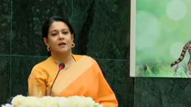ব্যক্তি বদলালেই দেশ বদলায় না: পরিবেশ উপদেষ্টা