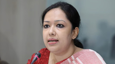এ দেশে তো পাগলও বাস করতে চাইবে না: রুমিন ফারহানা 