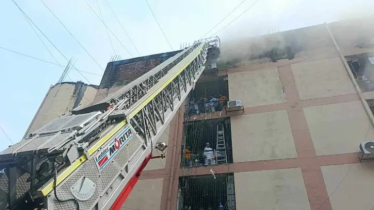ফায়ারের ১১ ইউনিটের চেষ্টায় নিয়ন্ত্রণে সুন্দরবনের আগুন